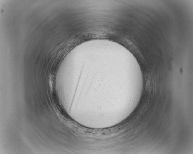 X0000053090026200508081322