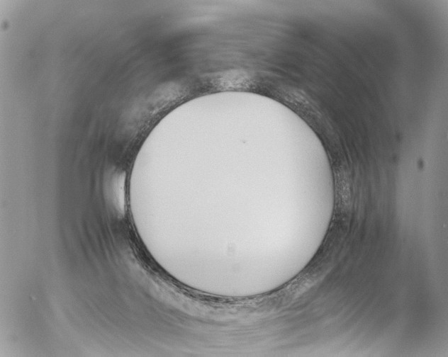 X0000053090028200508081322