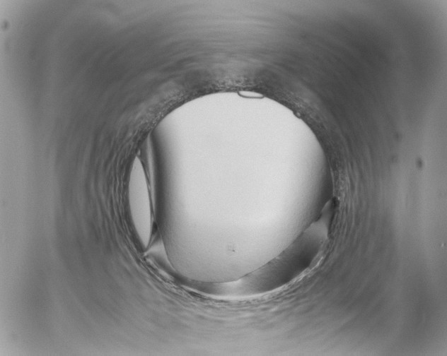 X0000053090029200508081322