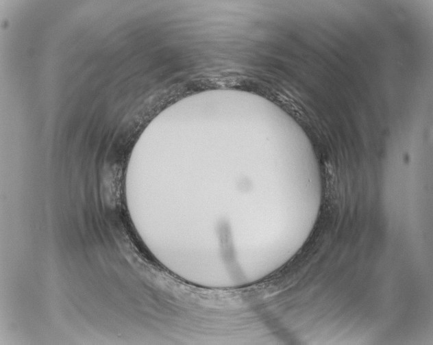 X0000053090030200508081322