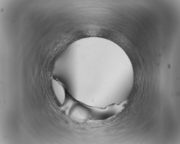 X0000053090031200508081322