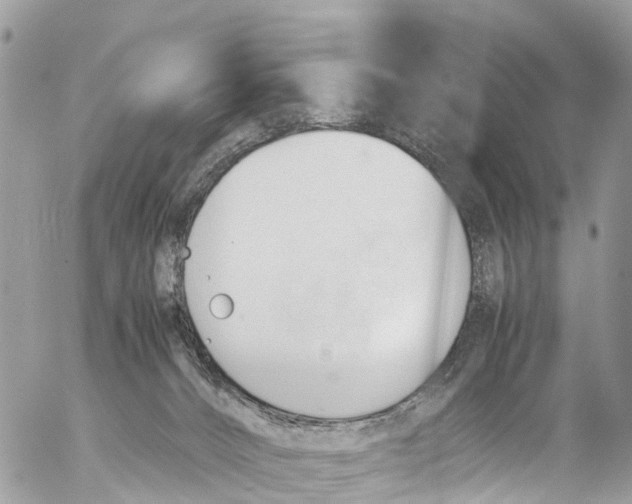 X0000053090032200508081322