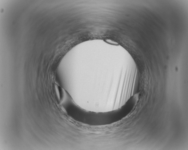 X0000053090033200508081322