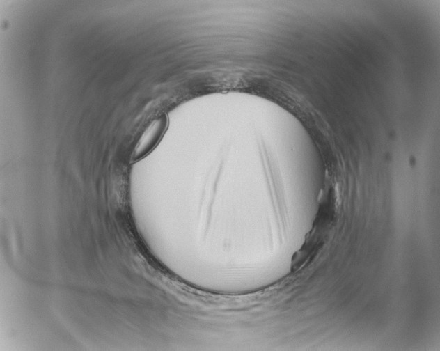 X0000053090035200508081322