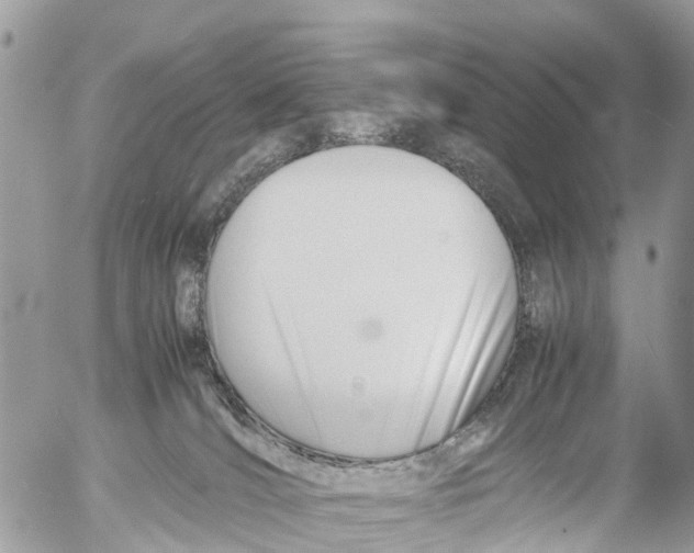 X0000053090036200508081322