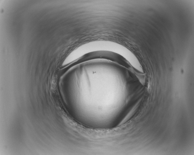 X0000053090037200508081322