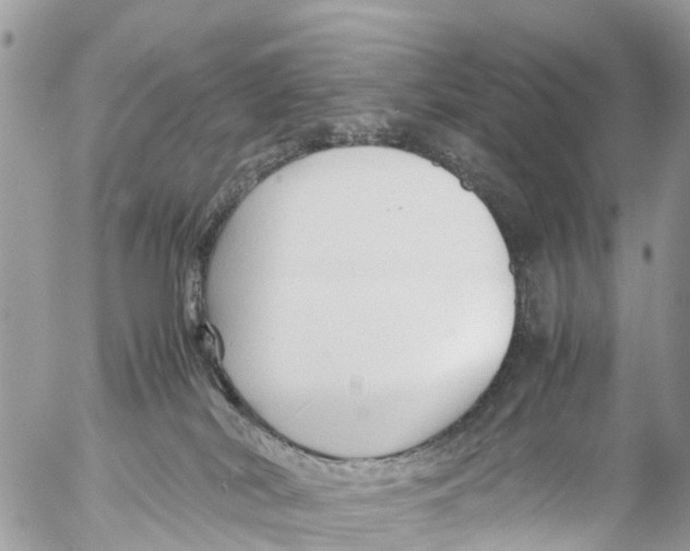 X0000053090038200508081322