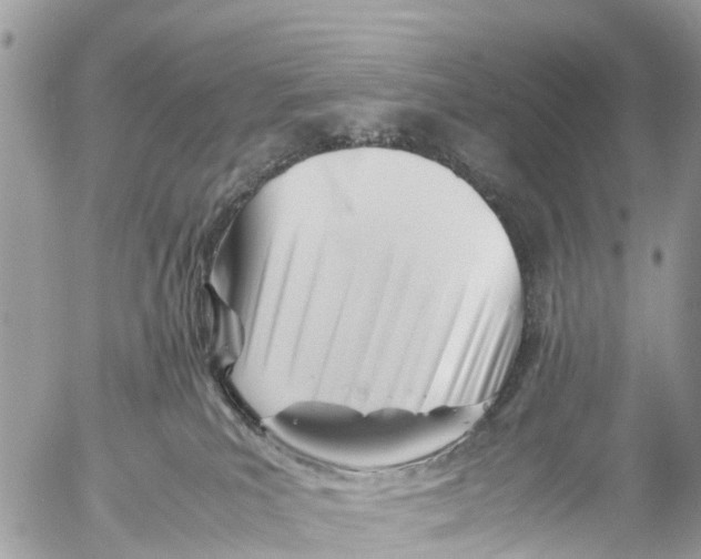 X0000053090039200508081322