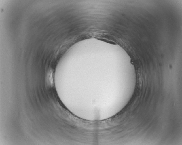 X0000053090042200508081322