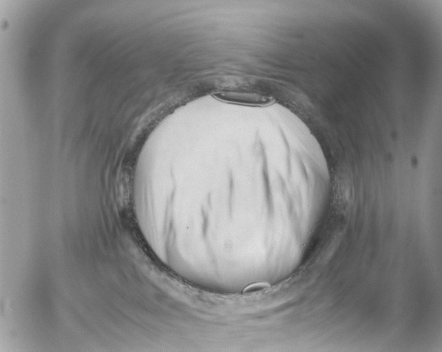 X0000053090043200508081322