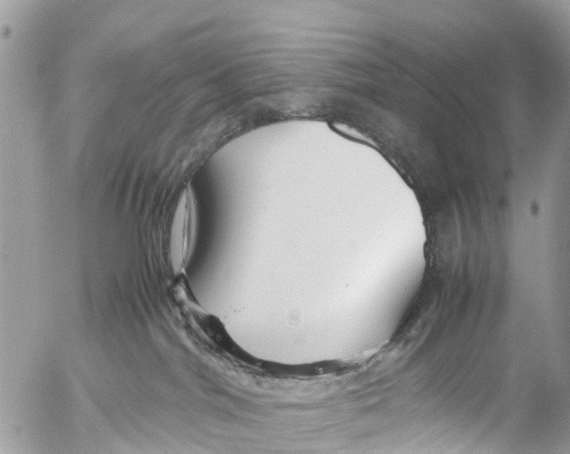 X0000053090044200508081322