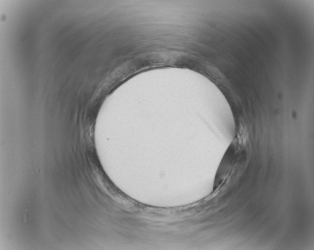 X0000053090045200508081322