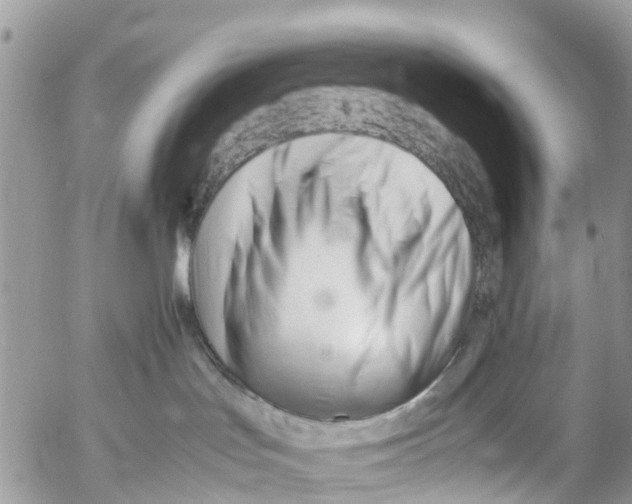 X0000053090047200508081322