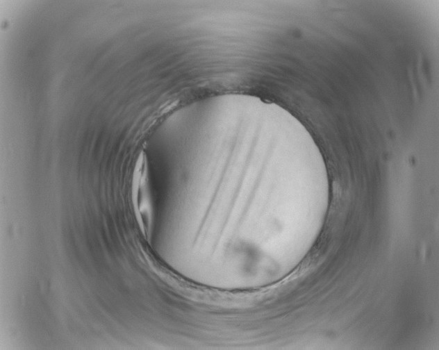 X0000053090048200508081322