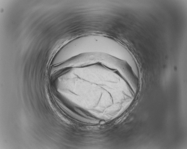 X0000053090049200508081321