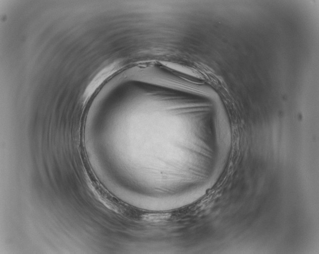 X0000053090051200508081321