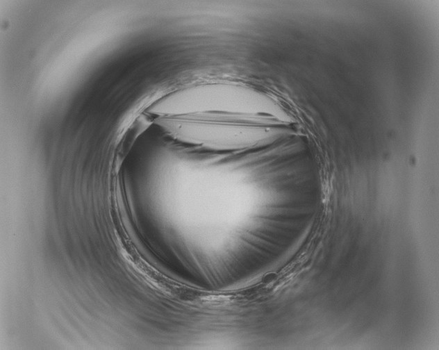 X0000053090052200508081321