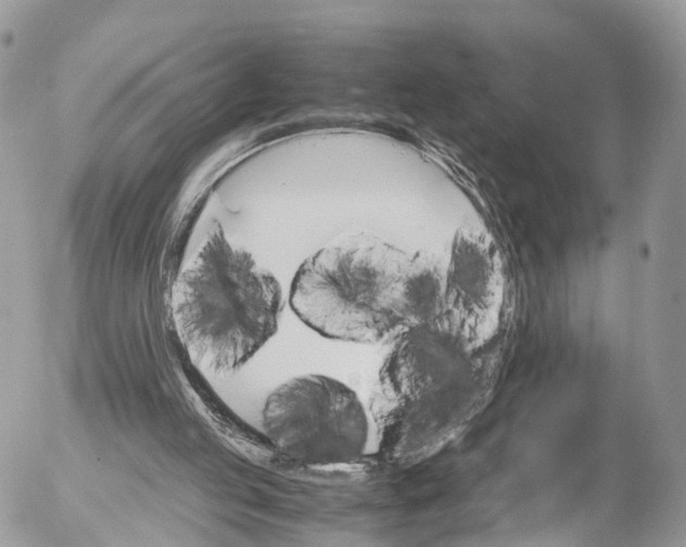 X0000053090053200508081321