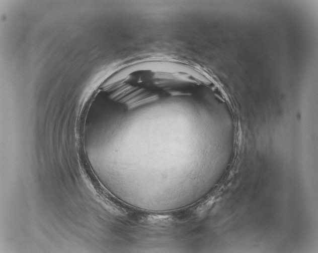 X0000053090055200508081321