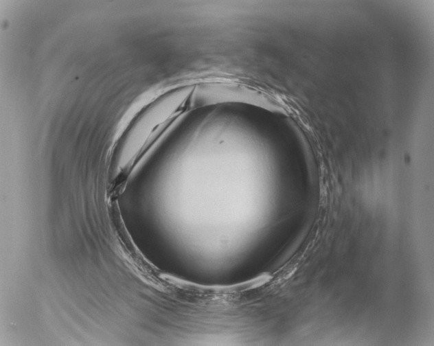 X0000053090056200508081321