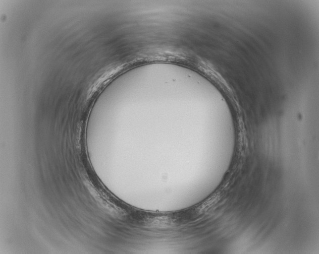 X0000053090058200508081321