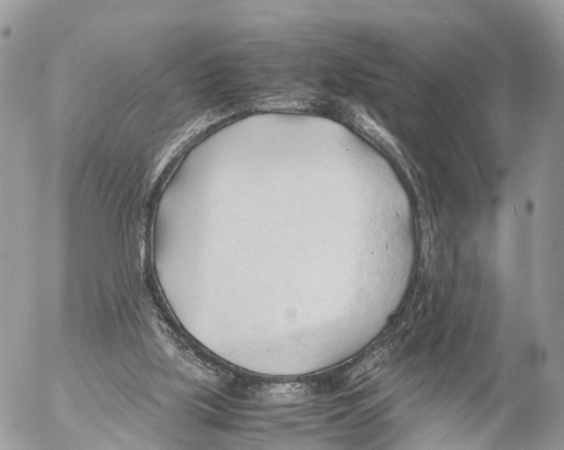 X0000053090059200508081321