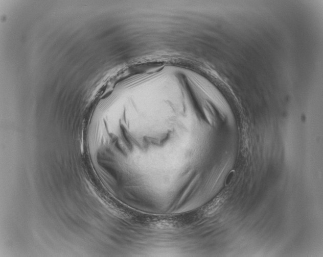 X0000053090062200508081321