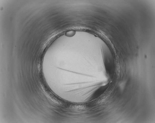 X0000053090063200508081321