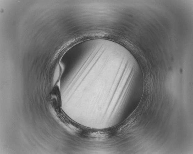 X0000053090064200508081321