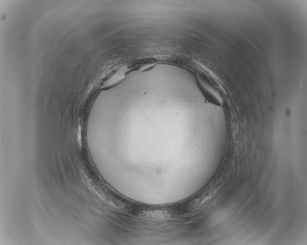 X0000053090067200508081321