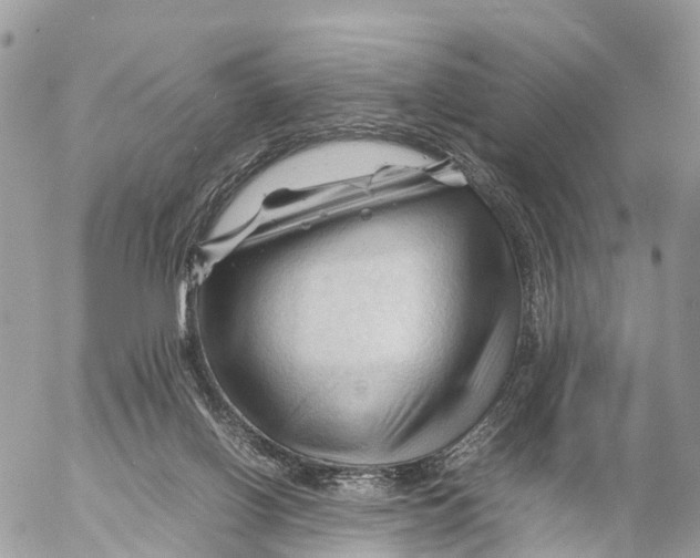 X0000053090070200508081321