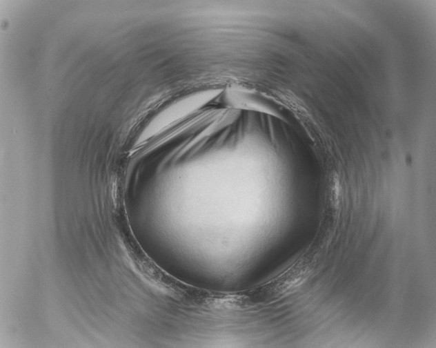 X0000053090072200508081321