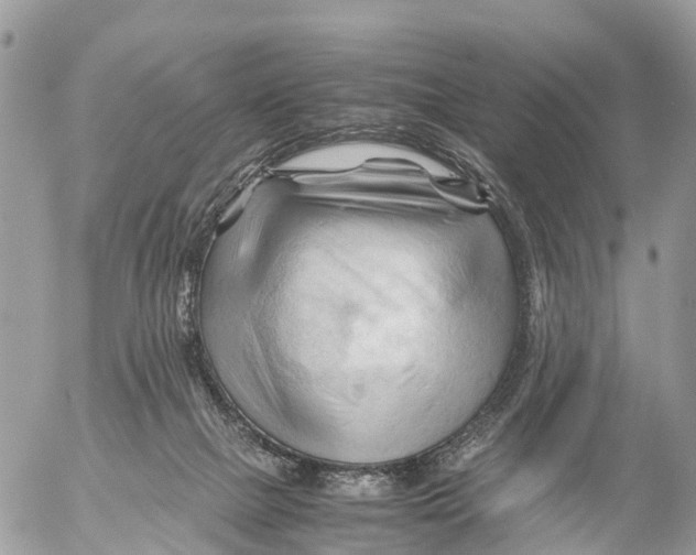 X0000053090073200508081321