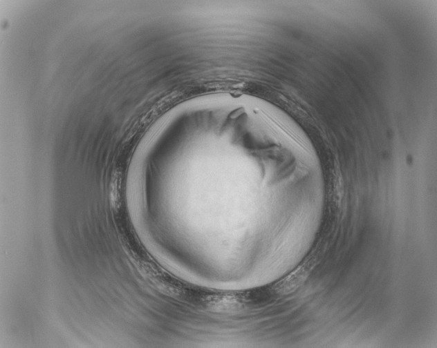 X0000053090074200508081321