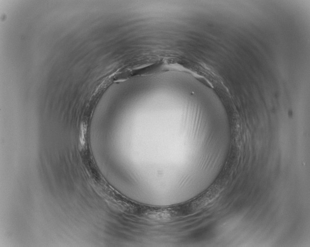 X0000053090075200508081322