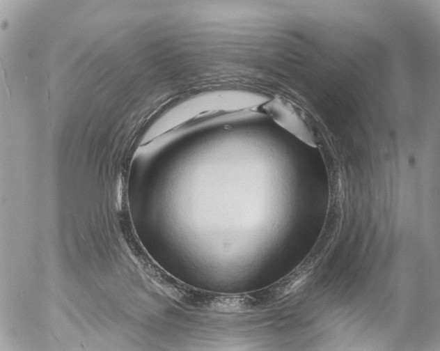 X0000053090076200508081322