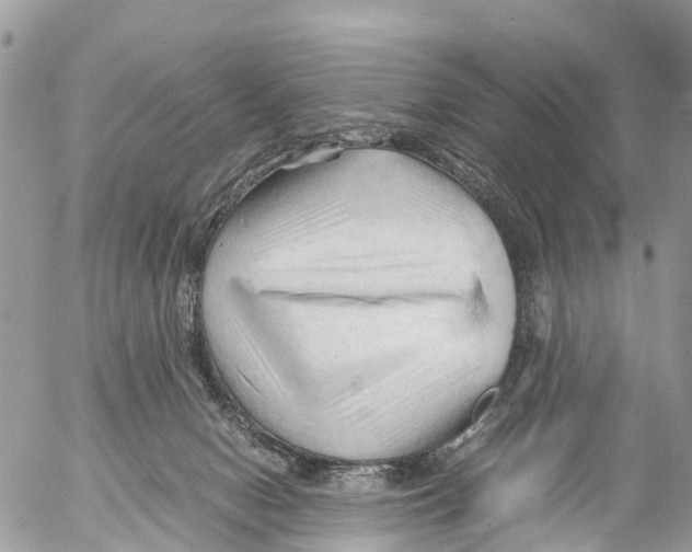 X0000053090078200508081322