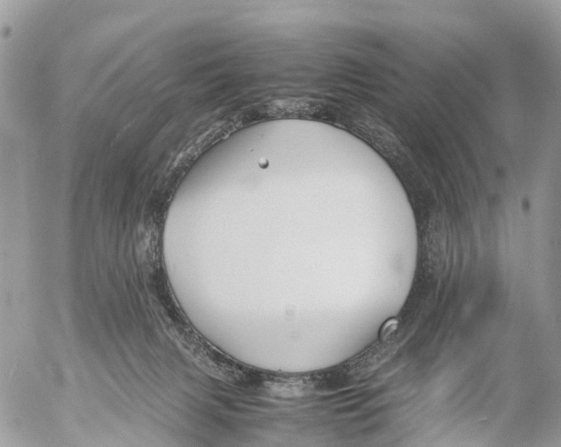 X0000053090079200508081322