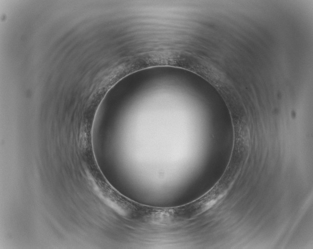 X0000053090080200508081322