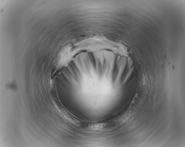 X0000053090084200508081322