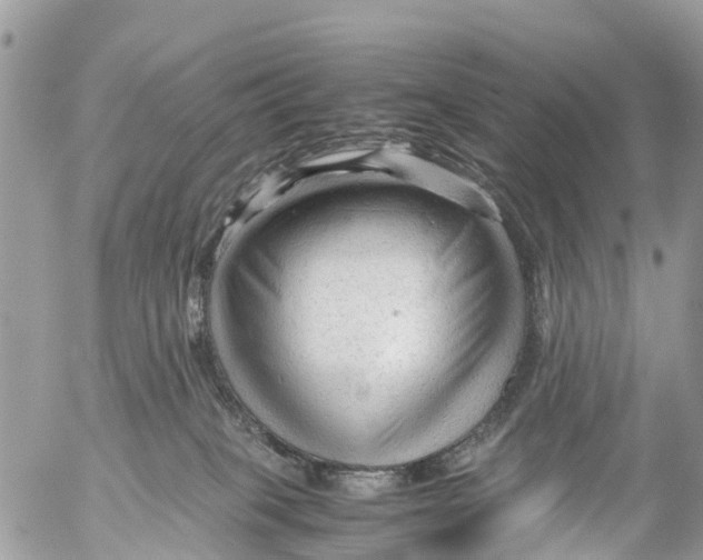 X0000053090085200508081322