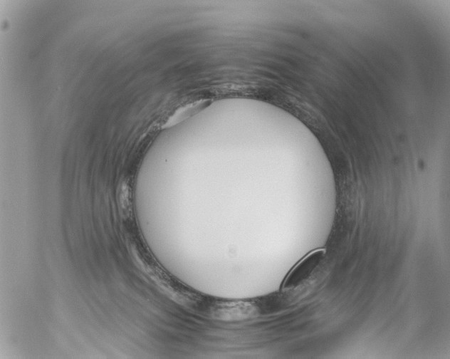 X0000053090087200508081322