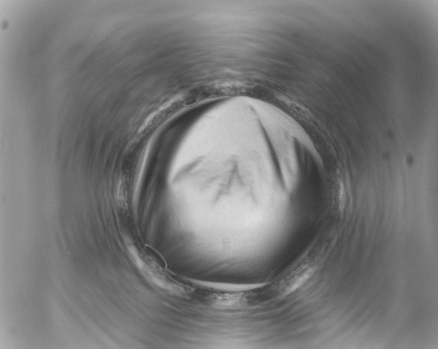 X0000053090088200508081322