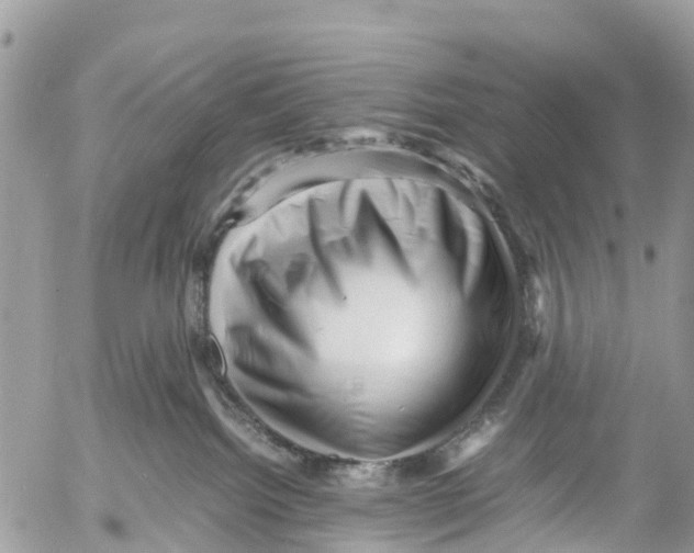 X0000053090092200508081322