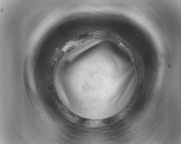 X0000053090093200508081322