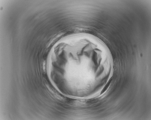 X0000053090094200508081322