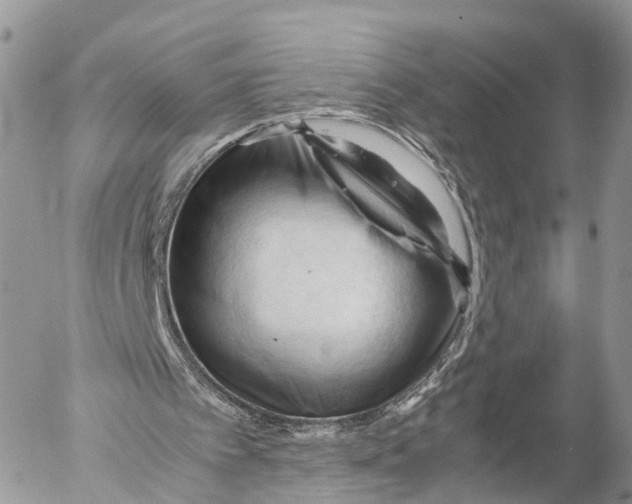 X0000053090097200508081321