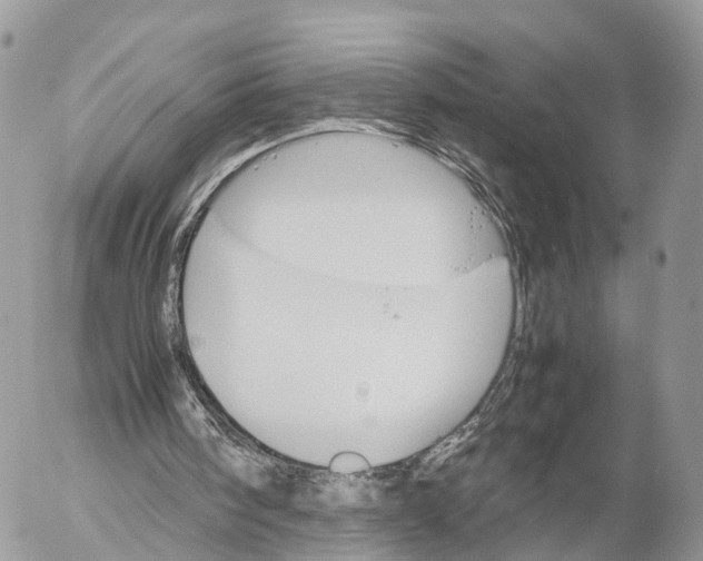 X0000053090098200508081321