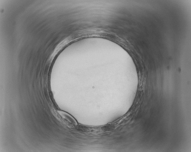 X0000053090099200508081321