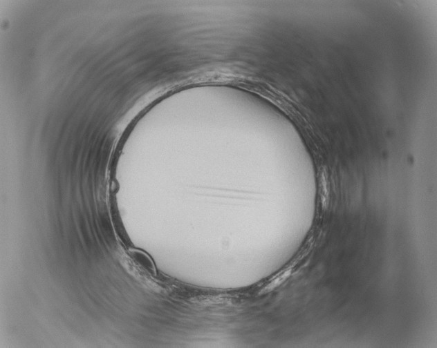 X0000053090100200508081321